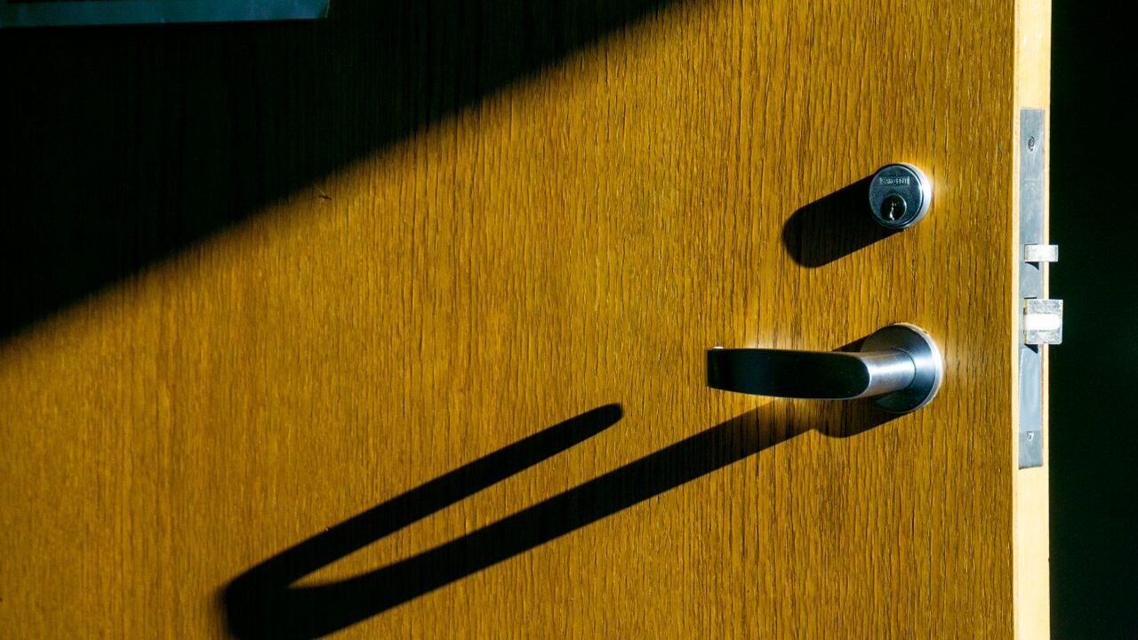 Close-up of a modern timber door with a slim metal handle.